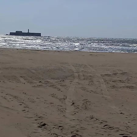 Nauticap, Joli T2 Renove, Piscine, Parking, 200m Apartment *