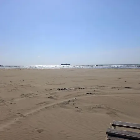 Nauticap, Joli T2 Renove, Piscine, Parking, 200m Apartment Agde