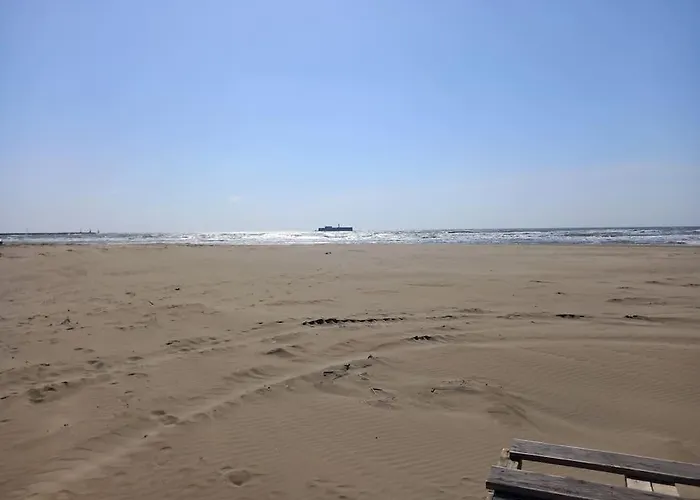 Nauticap, Joli T2 Renove, Piscine, Parking, 200m 아파트 아그