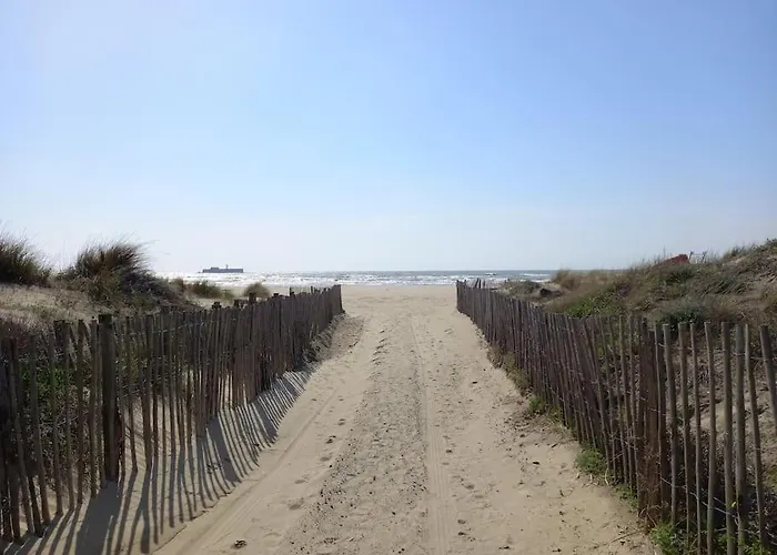 Nauticap, Joli T2 Renove, Piscine, Parking, 200m 아파트