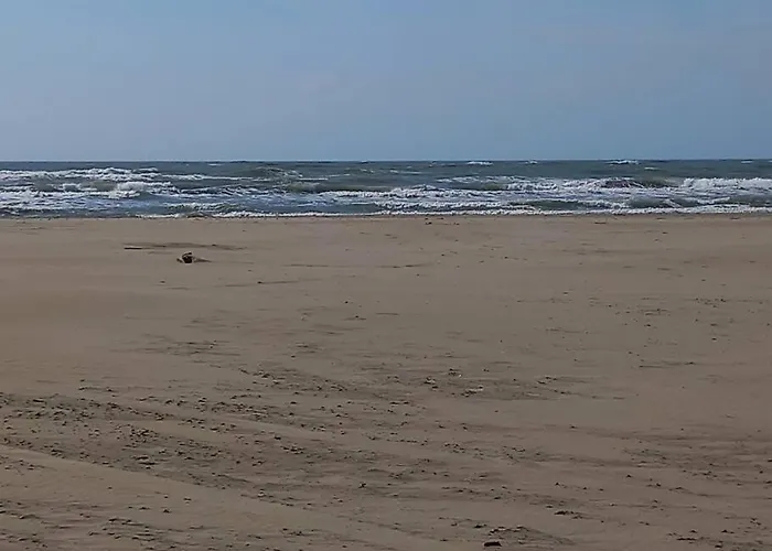 Nauticap, Joli T2 Renove, Piscine, Parking, 200m